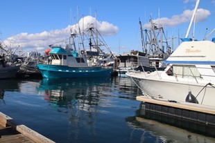 Victoria - Fisherman’s Wharf Pier