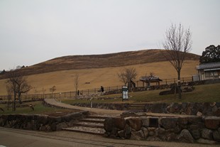 Kyoto - Nara Park - hill