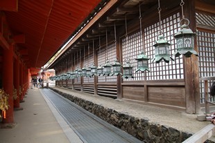 Kyoto - Nara Park - Kasuga Taisha, lights