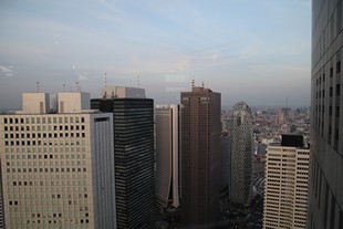 Tokyo - Tokyo Metropolitan Government Headquarters Observatory - view #1