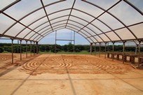 Kauai - Kauai Coffee Company - drying coffee beans