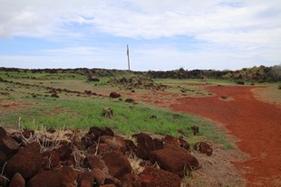 Kauai - Russian Fort Elizabeth State Historical Park - ruins of the fort
