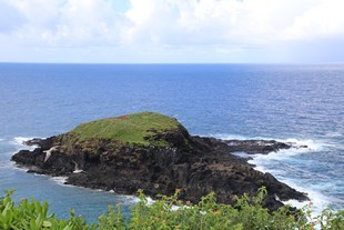 Kauai - Kilauea National Wildlife Refuge - rock