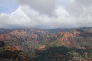 Kauai - Kokee Road - Iliau Nature Loop - view #1