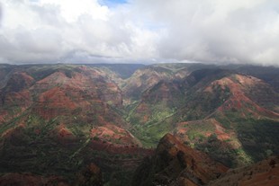 Kauai - Kokee Road - Iliau Nature Loop - view #2