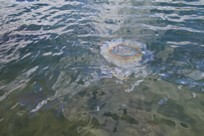 Oahu - Pearl Harbor - petrol leaking from the tank