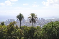 Oahu - Tantalus Lookout - Honolulu view