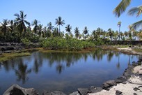 Big Island - Pu'uhonua O Hōnaunau National Historical Park - pond