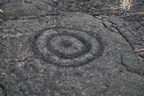 Big Island - Volcanoes National Park - Chain of Craters Road - Pu’u Loa Petroglyphs Trail - view #1