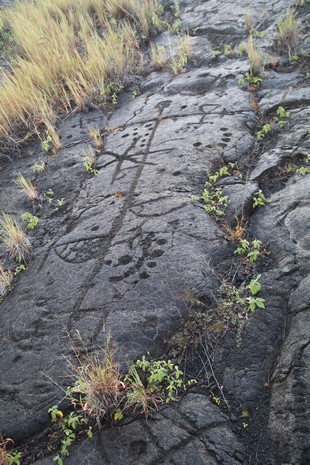 Big Island - Volcanoes National Park - Chain of Craters Road - Pu’u Loa Petroglyphs Trail - view #4