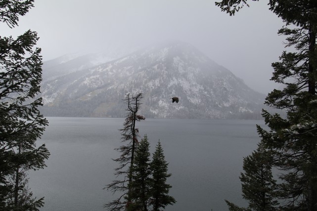 Grand Teton National Park - Jenny Lake Overlook