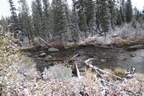 Grand Teton National Park - Jenny Lake - river - view #2