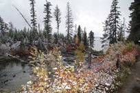 Grand Teton National Park - Jenny Lake - river - view #3