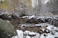 Grand Teton National Park - Taggart Lake - river