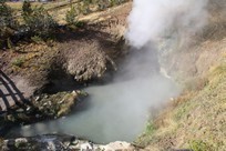 Yellowstone National Park - Lake Village - Mud Volcano Area - Dragon's Mouth Spring