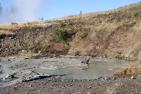 Yellowstone National Park - Lake Village - Mud Volcano Area - Sizzling Basin