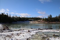 Yellowstone National Park - Lake Village - Mud Volcano Area - Sour Lake