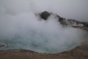 Yellowstone National Park - Madison - Midway Geyser Basin - Cliff Geyser
