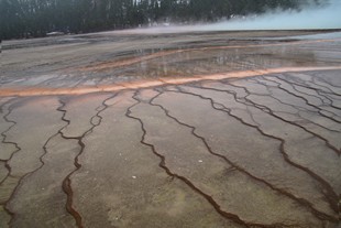 Yellowstone National Park - Madison - Midway Geyser Basin - Grand Prismatic Spring - edge