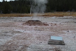 Yellowstone National Park - Madison - Firehole Lake Drive - Pink Cone Geyser