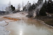 Yellowstone National Park - Mammoth Hot Springs - Mammoth Hot Springs Terraces - Canary Spring - view #2