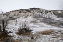 Yellowstone National Park - Mammoth Hot Springs - Mammoth Hot Springs Terraces - Jupiter Spring