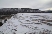Yellowstone National Park - Mammoth Hot Springs - Mammoth Hot Springs Terraces - New Blue Spring