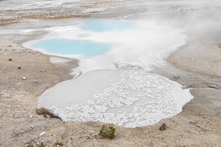 Yellowstone National Park - Norris - Norris Geyser Basin - Porcelain Basin - Colloidal Pool