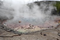 Yellowstone National Park - Norris - Norris Geyser Basin - Back Basin - Echinus Geyser