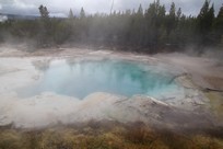 Yellowstone National Park - Norris - Norris Geyser Basin - Back Basin - Emerald Spring
