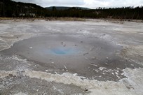Yellowstone National Park - Norris - Norris Geyser Basin - Back Basin - Pearl Geyser