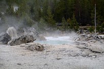 Yellowstone National Park - Norris - Norris Geyser Basin - Back Basin - Porkchop Geyser