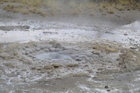 Yellowstone National Park - Norris - Norris Geyser Basin - Back Basin - Vixen Geyser