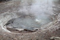Yellowstone National Park - Norris - Norris Geyser Basin - Back Basin - Yellow Funnel Spring