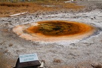 Yellowstone National Park - Old Faithful Village - Upper Geyser Basin - Economic Geyser