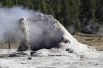 Yellowstone National Park - Old Faithful Village - Upper Geyser Basin - Giant Geyser