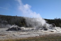 Yellowstone National Park - Old Faithful Village - Upper Geyser Basin - Grotto Geyser