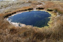 Yellowstone National Park - Old Faithful Village - Upper Geyser Basin - Liberty Pool