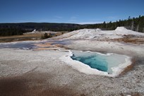Yellowstone National Park - Old Faithful Village - Upper Geyser Basin - Lion Group Geyser And Heart Spring