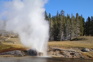 Yellowstone National Park - Old Faithful Village - Upper Geyser Basin - Riverside Geyser eruption