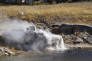 Yellowstone National Park - Old Faithful Village - Upper Geyser Basin - Riverside Geyser