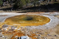 Yellowstone National Park - Old Faithful Village - Upper Geyser Basin - Wave Spring