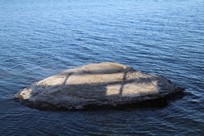 Yellowstone National Park - West Thumb - Fish Cone