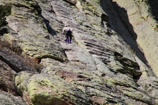 Devils Tower - climber